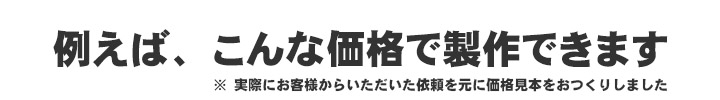 例えばこんな価格で製作できます。